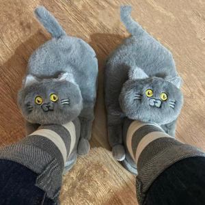 Bisous™ | Kitty Flops – Schattige Katten Pantoffels
