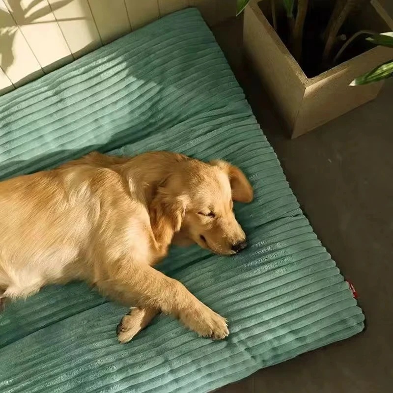PawComfort™ - Afbeelding 5