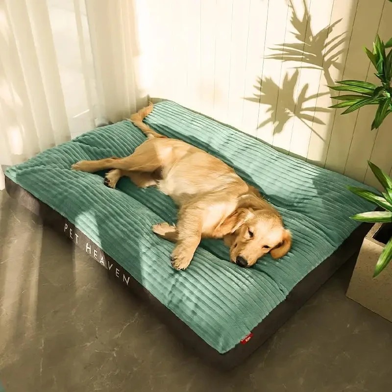 PawComfort™